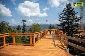 Wieża widokowa na Skolnitym