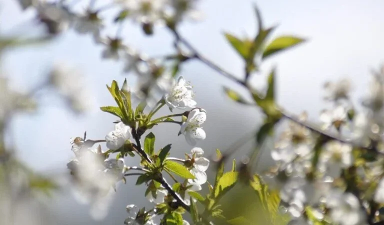 Cyfrowy detoks w Beskidach: marzec, gdy nikogo tu nie ma