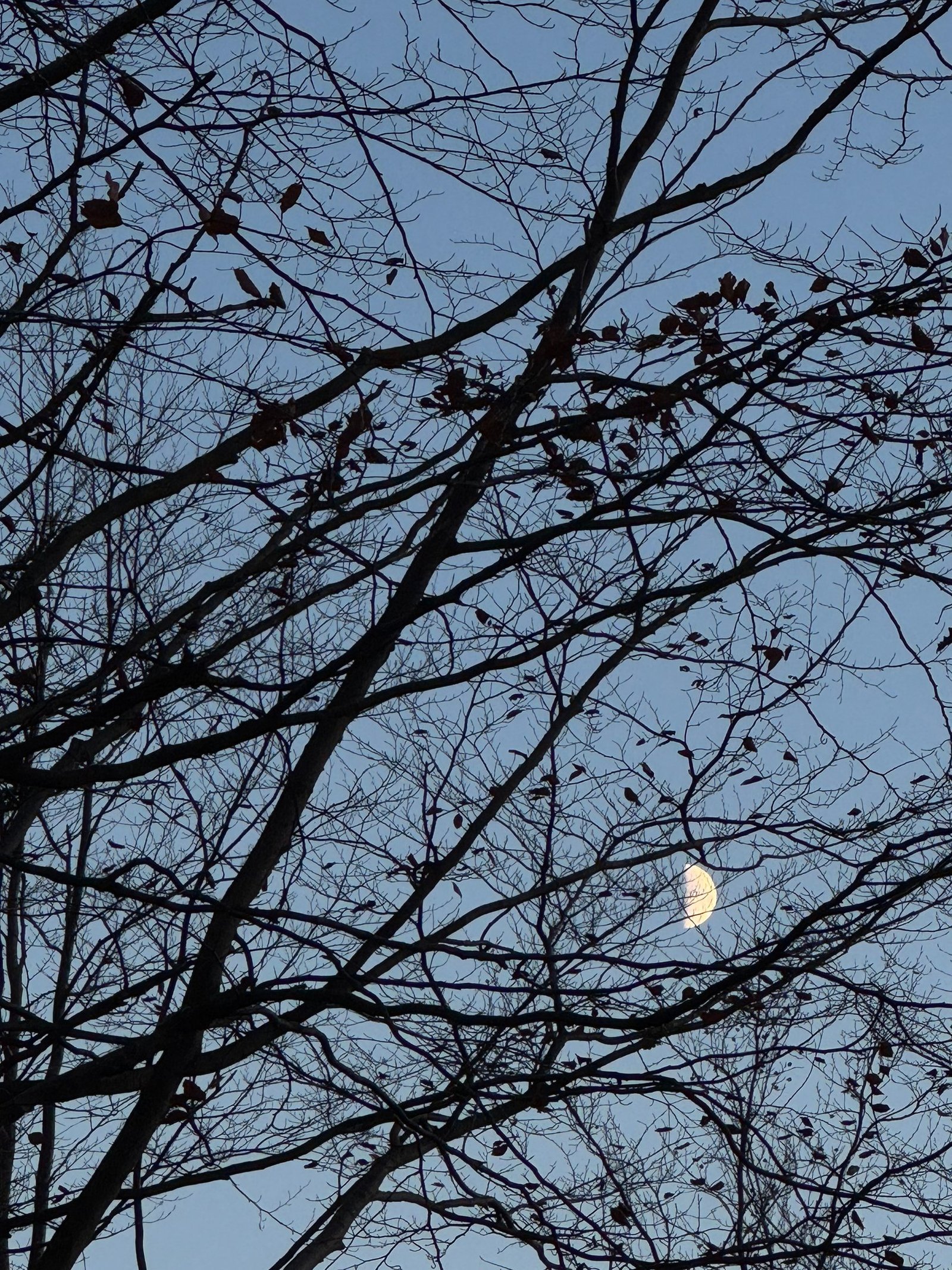 Księżyc nad Chatą Pod Jaworem
